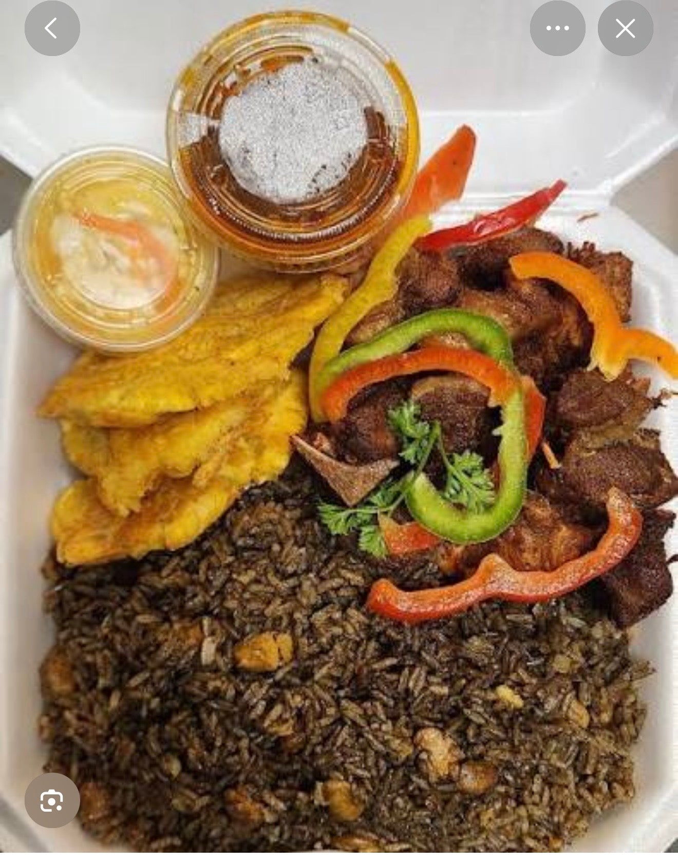 Haitian Griot Plate with Diri ak Djon Djon & Fried Plantains